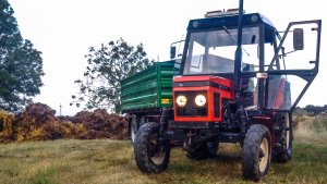 Zetor 7211 + WIELTON 8T