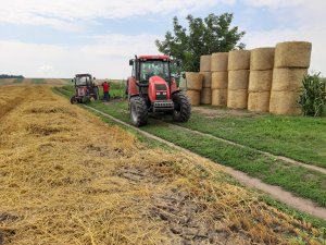 Zetor Forterra 11441