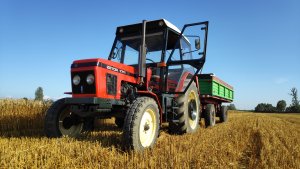 Żniwa 2019 + Zetor 7711
