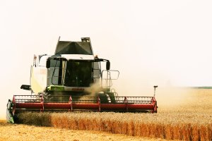 Żniwa Kombinat Rolny Kietrz 2019 .