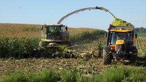 Claas Jaguar 940 & Fastrack JCB