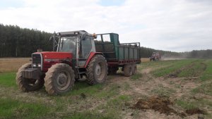 Massey Ferguson 3080 & Fortschritt oraz Massey Freguson 3095 & Staltech