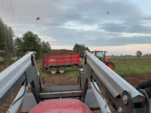 Massey Ferguson 5710 i Kubota M135GX i Metal Fach N267