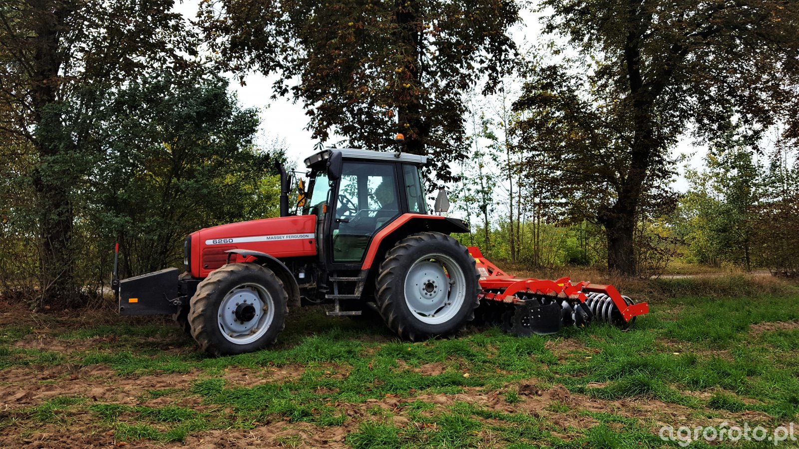 Massey Ferguson 6260 + Grano System SHARK SHS 3.0