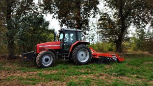Massey Ferguson 6260 + Grano System SHARK SHS 3.0