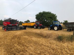 Massey Ferguson 7347 S MCS