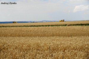 New Holland Clayson x2