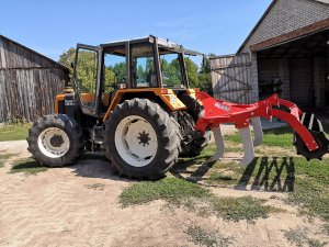 Reenault & Głębosz 3 łapy