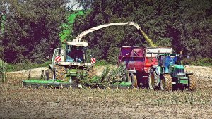 Sieczkarnia Krone BigX 850 & John Deere 7430