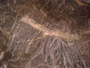 snopki wiązane słomą