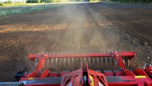 Uprawa pod pszenżyto