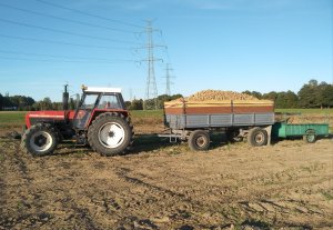 Zetor 14145 + D50