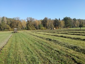 
Zielone ostatki - 3 pokos