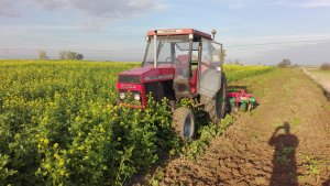 Ursus 912 + Agromasz 3m