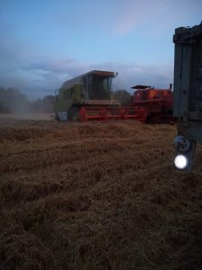 Claas w pszenicy 2019 