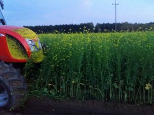 Gorczyca kontra kverneland. 