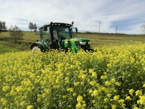 John Deere & landstal