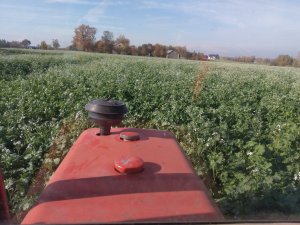 Kasowanie poplonu c.d