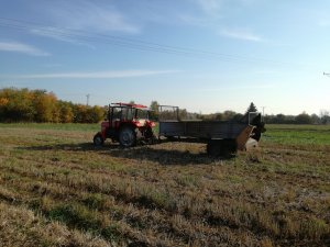 Massey Ferguson 255 & Czarna Białostocka