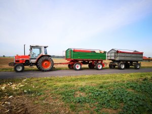 Massey Ferguson 3050 & HW6011 & BSS