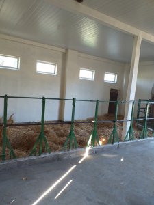 Nowe pomieszczenie na opasy