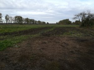 Ogródek po kultywatorowaniu