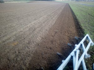 Orka przedsiewna pod oziminę radłem uni