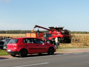 Pokazy zbioru kukurydzy