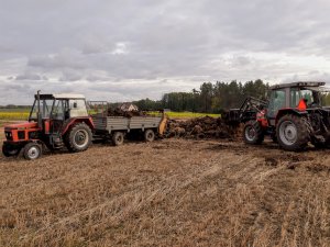 Rozrzucanie obornika Zetor5211/ Mf3060