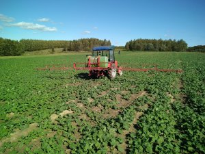 T25 + Schmotzer supermatt