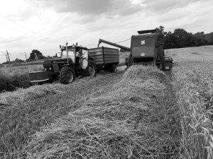 Ursus 1614 & Bizon  z056