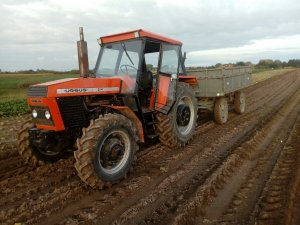 Ursus 914 + przyczepa