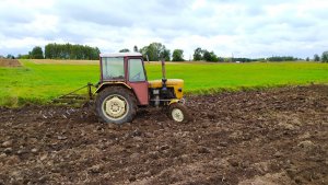 Ursus C-330 + kultywator 