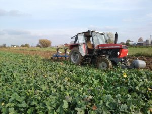 Ursus C-385a & Rabewerk 3