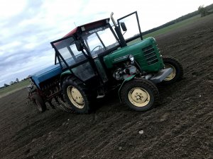 Ursus C-4011, Isaria 