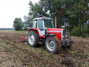 Massey Ferguson 698t + talerzówka