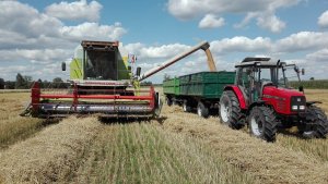 Claas Dominator 88sl Maxi & Massey Ferguson 4255 + 2x Autosan D633