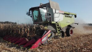 Claas Lexion 660 Terra Trac + Geringhoff Mais Star* Horizon