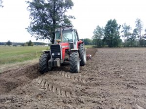 Massey Ferguson 698t + UG