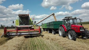 Claas Dominator 88sl Maxi, Massey Ferguson 4255 + 2x Autosan D633