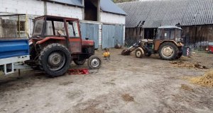 Massey ferguson 255