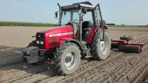 Massey Ferguson 42555 + Jacek