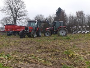 Massey Ferguson 6460&3060