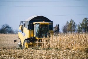 New Holland Cx5080