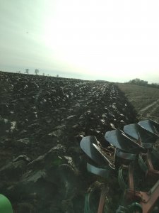 Orka po kukurydzy pod kukurydzę