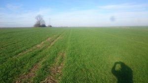 Zeppelin/ KWS Fenomen