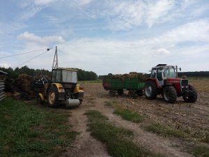 Ursus+Massey Ferguson