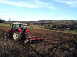 Zetor 7245 + Talerzówka