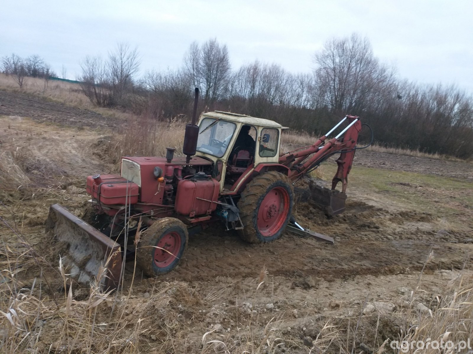 Obraz Ciągnik Białoruś JUMZ Id:768261 - Galeria Rolnicza Agrofoto