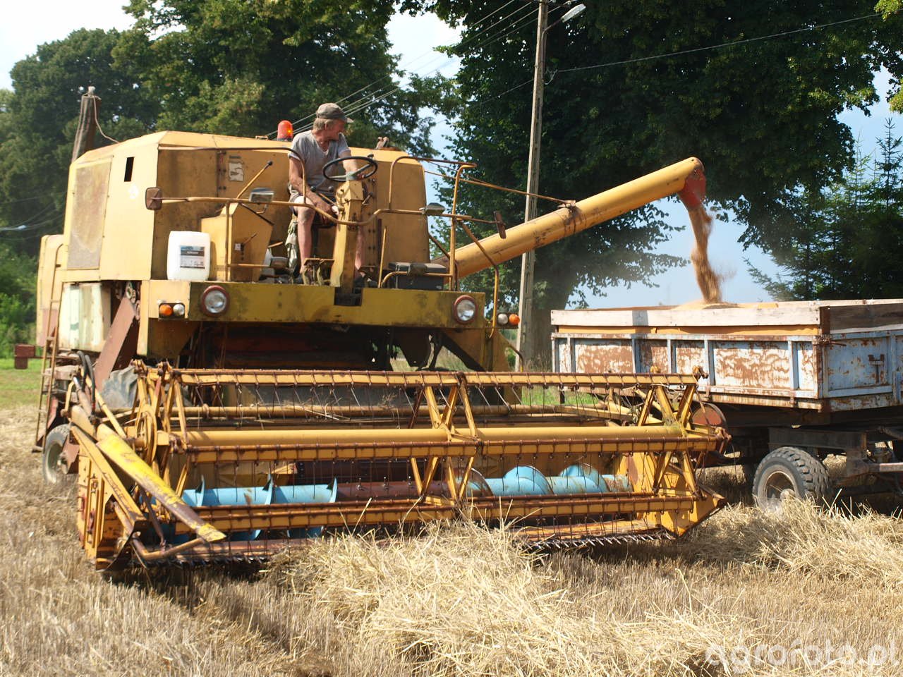 Kombajn Bizon Super Z Foto Galeria Rolnicza Agrofoto